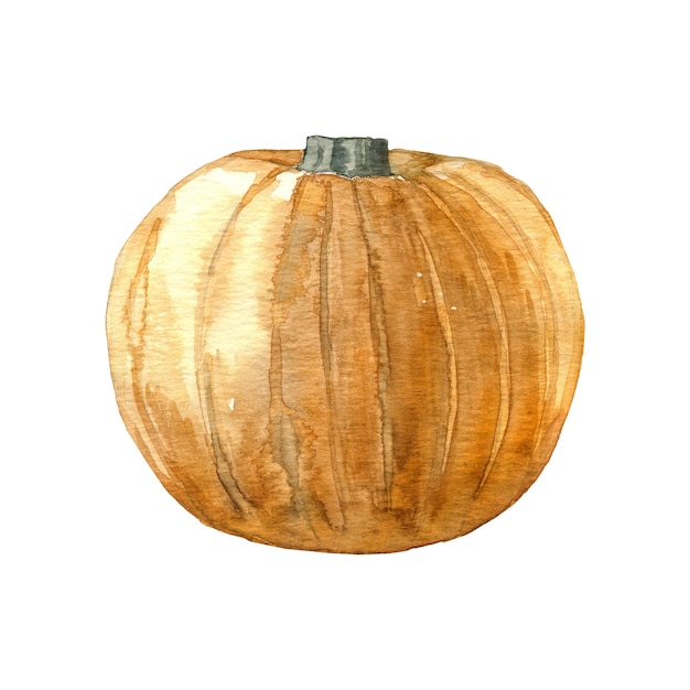 Watercolor orange pumpkin