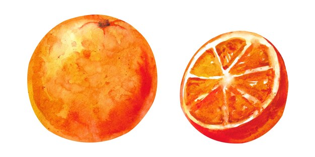 Photo watercolor orange ripe orange orange cut in half