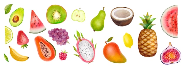 Watercolor painted collection of fruits hand drawn fresh food design elements isolated on white