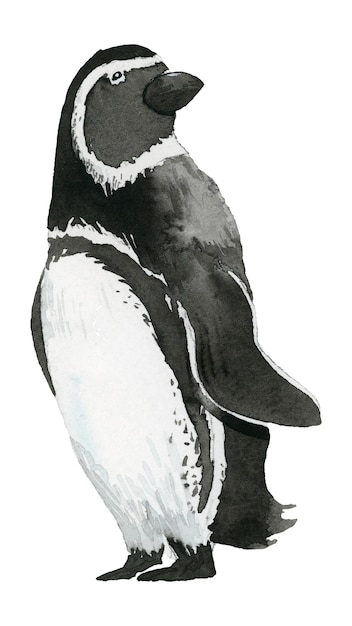 watercolor painted penguin transparent png