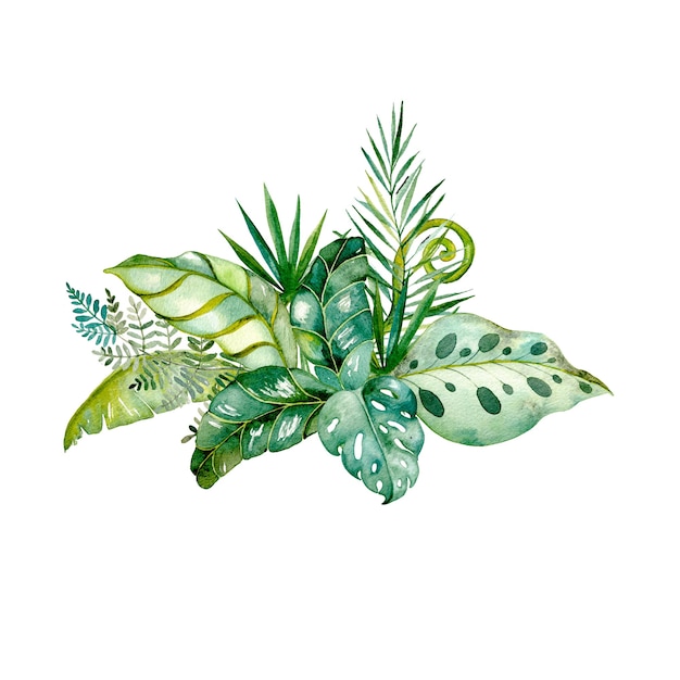 Watercolor painted tropical leaves and branches. Colored exotic floral collection of palm, monstera, banana leaves.