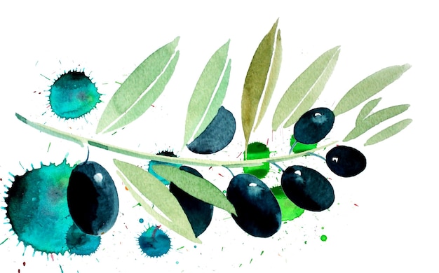A watercolor painting of a black olive branch.