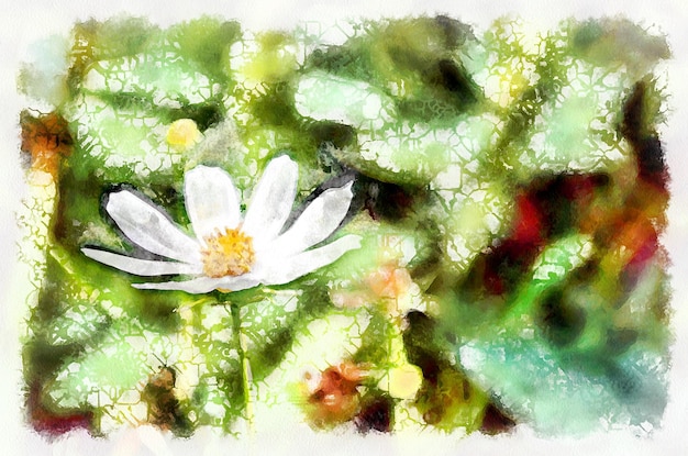 Watercolor painting blooming cosmos flower Modern digital art imitation of hand painted with aquarells dye