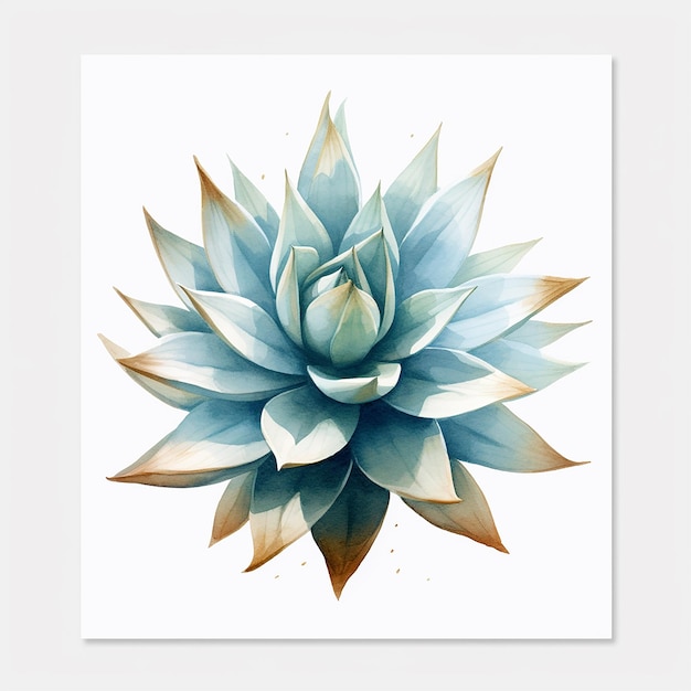 A watercolor painting of a blue agave plant