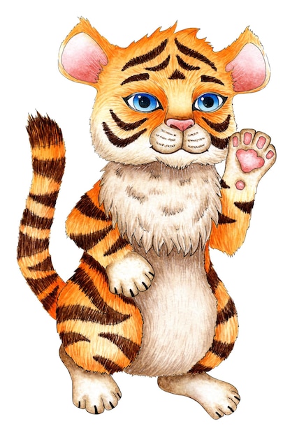 Watercolor painting of a cartoon tiger cub standing with a raised pack The symbol of the Chinese