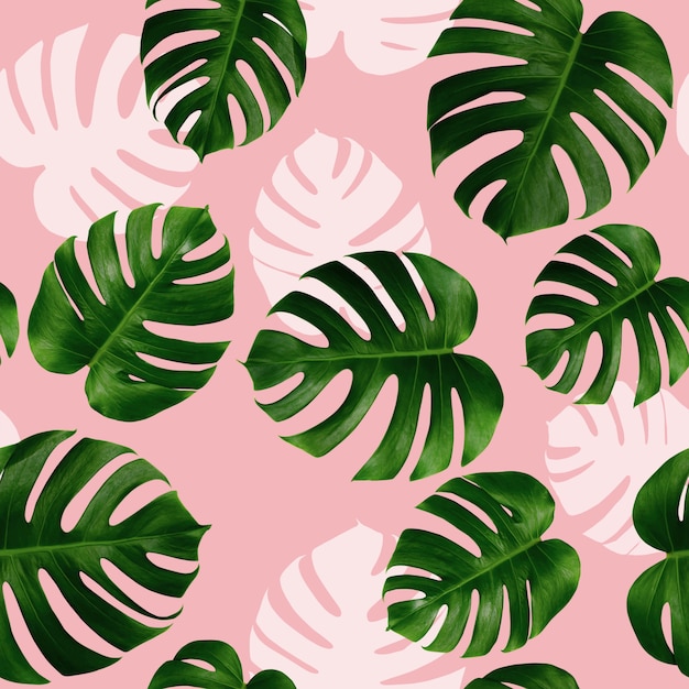 Watercolor painting colorful tropical monstera leaves seamless pattern