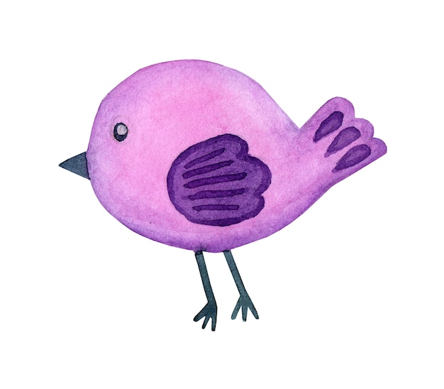 Photo watercolor painting doodle lilac bird cartoon style cartoon cute bird colorful decorative element