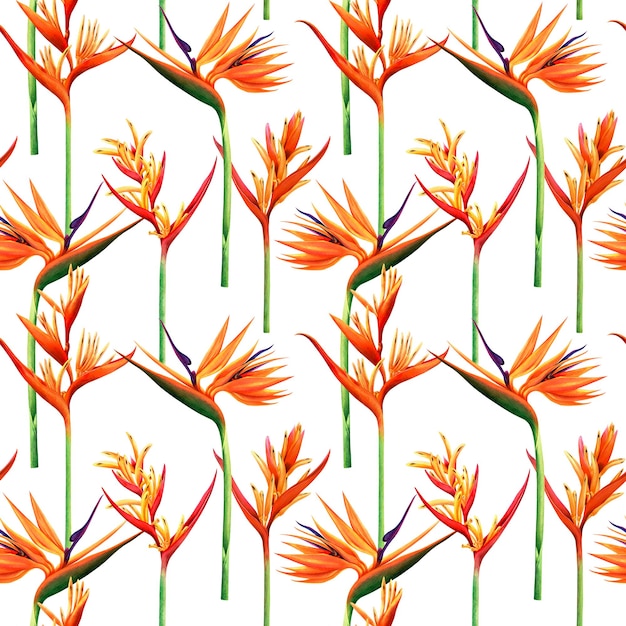 Watercolor painting flower tropical seamless pattern background