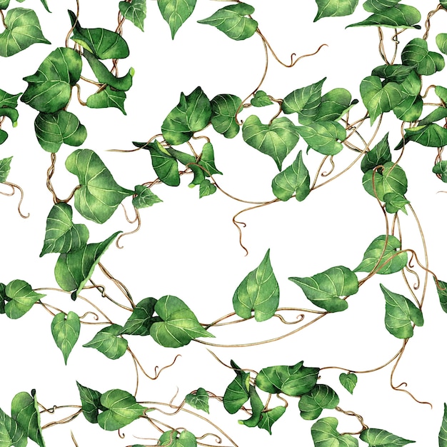 수채화 그림 녹색 열 대 담쟁이 잎 원활한 패턴 배경