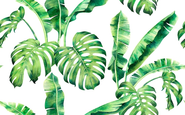 watercolor painting green tropical leaves seamless pattern background.
