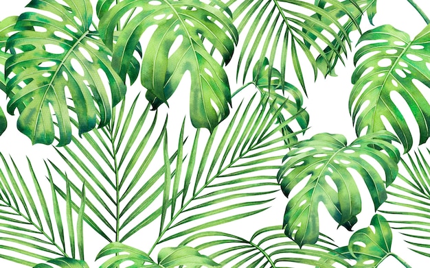 Watercolor painting green tropical leaves seamless pattern background