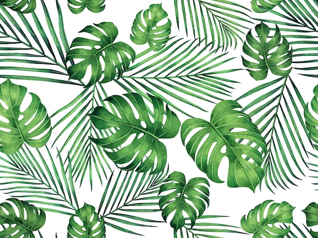 Watercolor painting green tropical monstera leaves seamless pattern background.