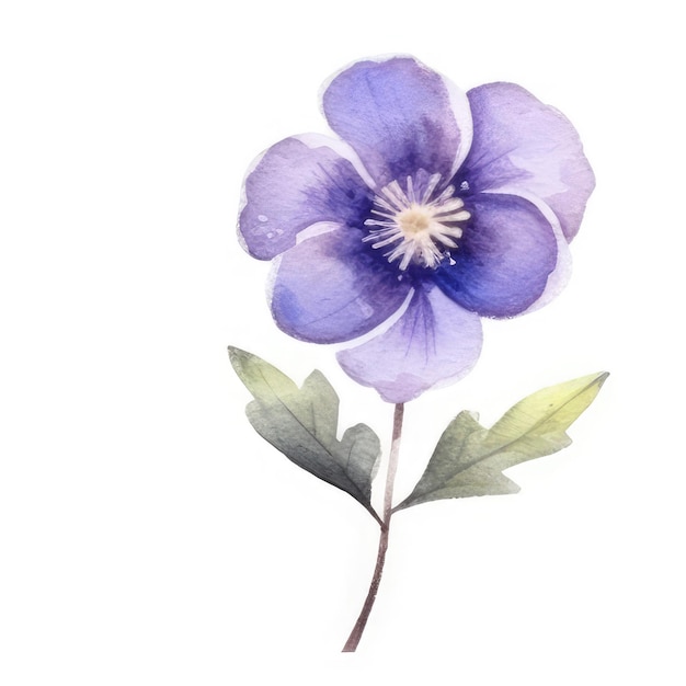 A watercolor painting of a purple flower with green leaves.