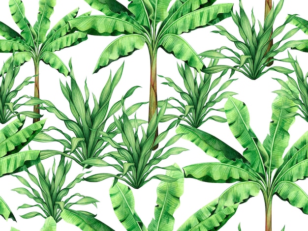 Watercolor painting tropical nature background with hand drawn green leaves.