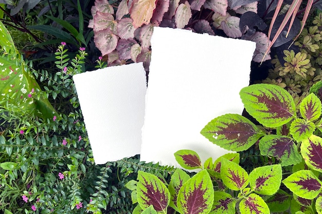 Watercolor papers on the tropical plants background  jpg template.