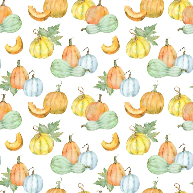 Watercolor pattern of colorful pumpkins. Thanksgiving background of pumpkin harvest. Autumn hand-drawn illustration.