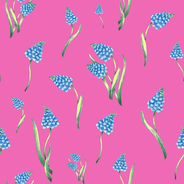 Watercolor pattern seamless blue muscari flower on magenta background for fabric, textile, wallpaper