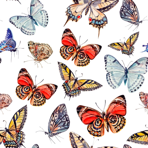 Watercolor pattern with beautiful butterflies. illustration