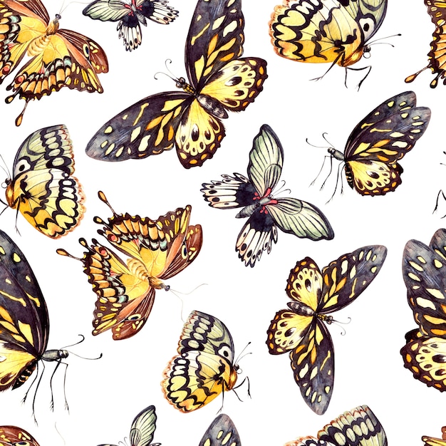 Watercolor pattern with beautiful butterflies. Illustration