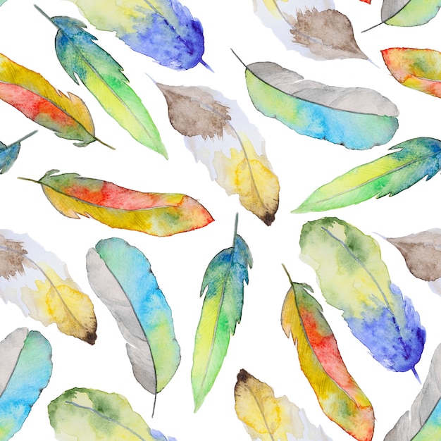 Watercolor pattern with feathers