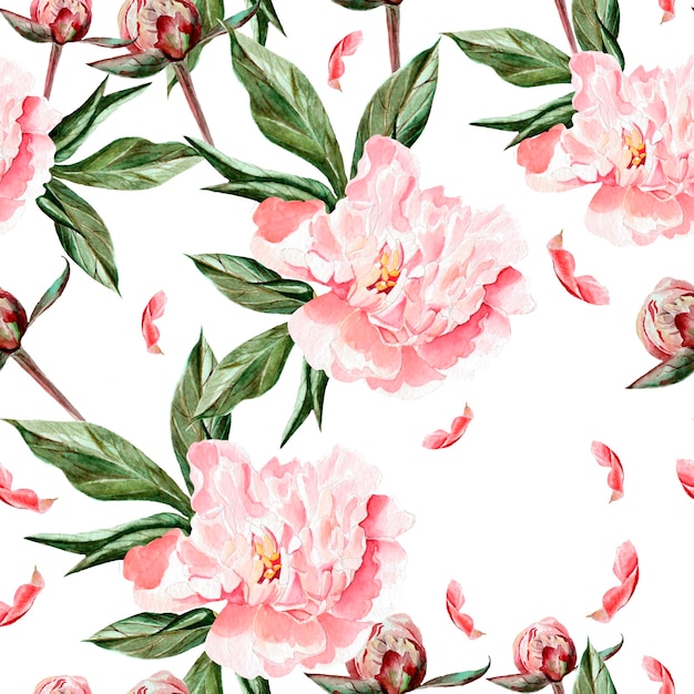 Watercolor pattern with flowers, peonies, buds and petals. Illustration