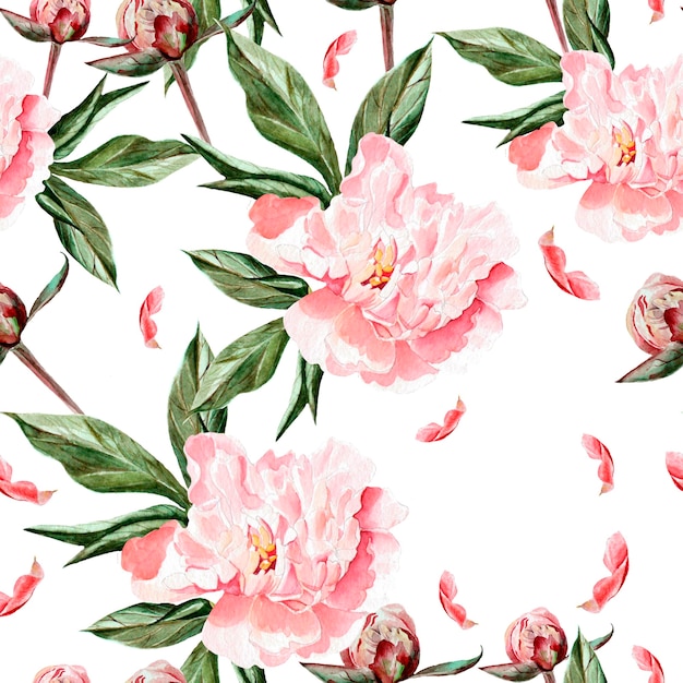 Modello acquerello con fiori, peonie, boccioli e petali. illustrazione