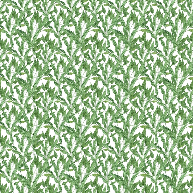 Watercolor pattern with minimalistic twigs leaves pattern grass print handdrawn watercolor nature motifs