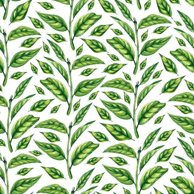 Photo watercolor pattern with a tea plant