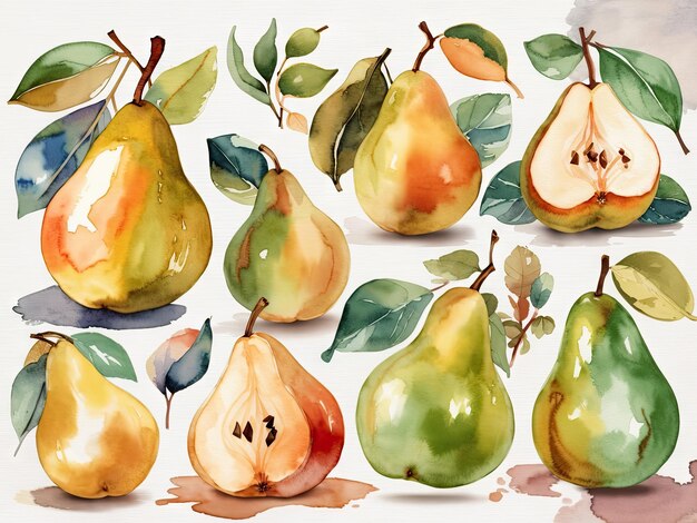 watercolor Pears fruit