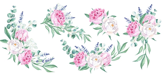 Watercolor peonies bouquets set hand drawn combination of white and pink flowers lavender eucalyptus