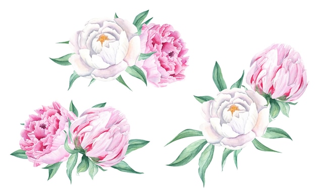 Фото Букеты акварельных пионов, раскрашенные вручную, из белых и розовых цветов и зеленых листьев