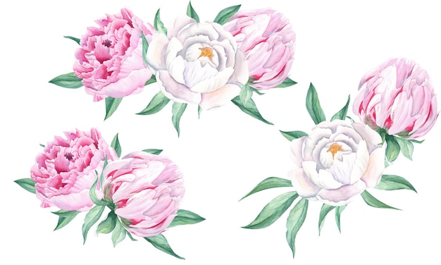 Foto set di mazzi di peonie ad acquerello con combinazione dipinta a mano di fiori bianchi e rosa e foglie verdi