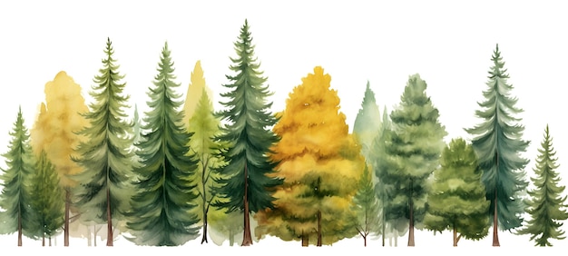 Watercolor pictures of pine trees and Christmas trees arranged in rows