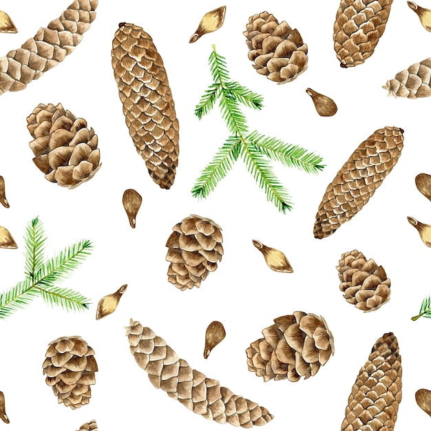 Photo watercolor pine cones pattern