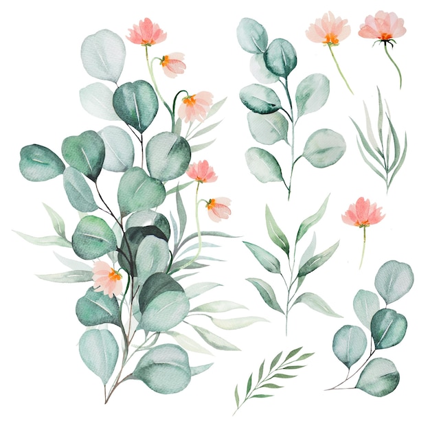 Watercolor pink flowers and green eucalyptus leaves bouquet and single elements illustration isolated. Arrangement for wedding design, greetings cards, crafting