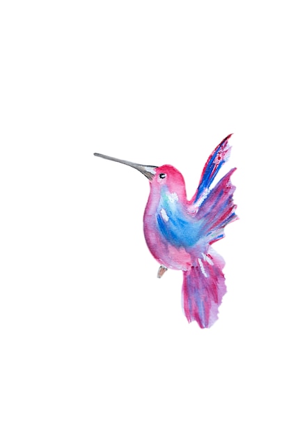 Watercolor pink hummingbird
