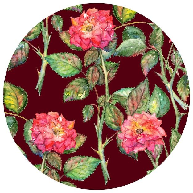 Акварель розовые розы круг шаблон текстуры фона