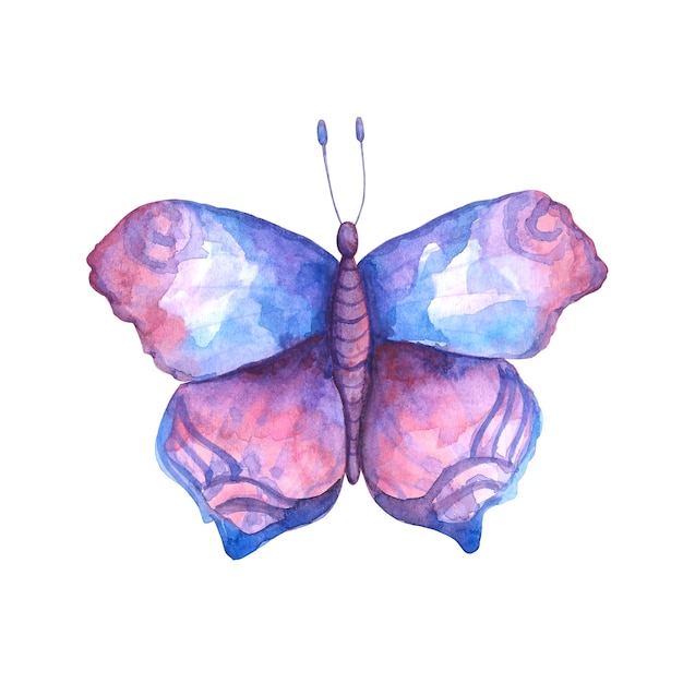 Watercolor pink, violet and blue butterfly illustration. Flying insect clip art isolated on white background. Butterfly card, invitation, poster, pint, sublimation, design and decoration.