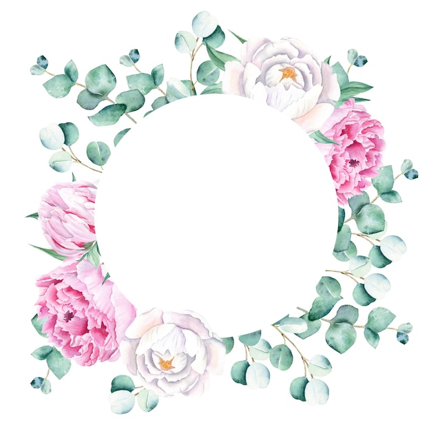 Watercolor pink and white peonies eucalyptus branches circle frame isolated on white background hand