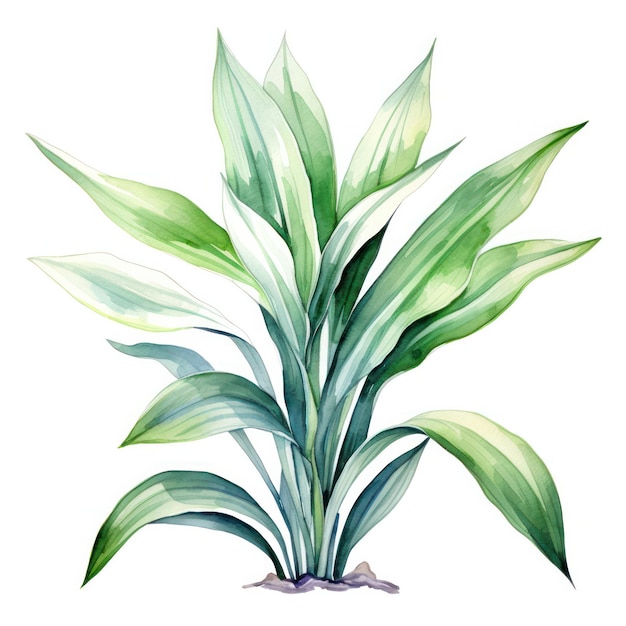 Watercolor Plant Illustration on White Background