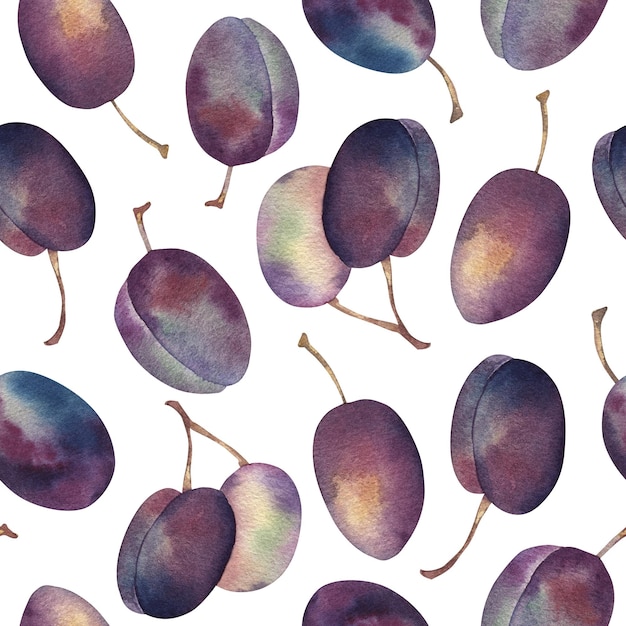 Watercolor Plums seamless pattern Hand drawn botanical illustrations Sketch with purple fruits Isolated on white background For linens linen wrapping paper wallpaper textile