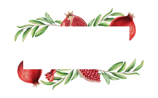 Акварельная гранатовая рамка на ветке Спелые дольки цветов и семена граната Ручной обращается реалистичные вкусные гранатовые красные фрукты изолированы