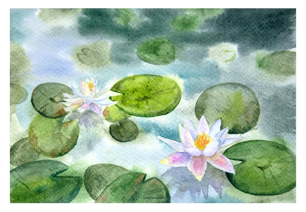 Watercolor pond with water lilies Watercolor white lotus