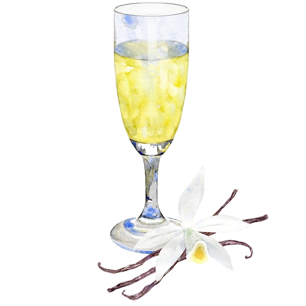 Watercolor prosecco drink with vanilla flavor