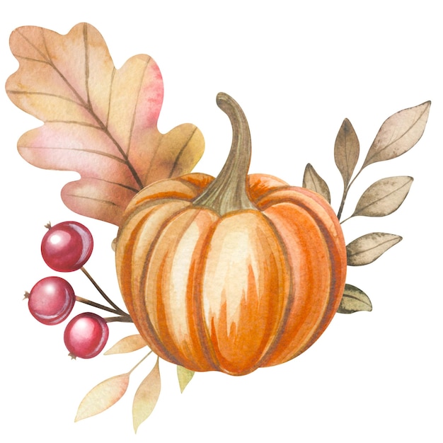 Watercolor pumpkin rowan branches leaves Isolated watercolor composition on a white background