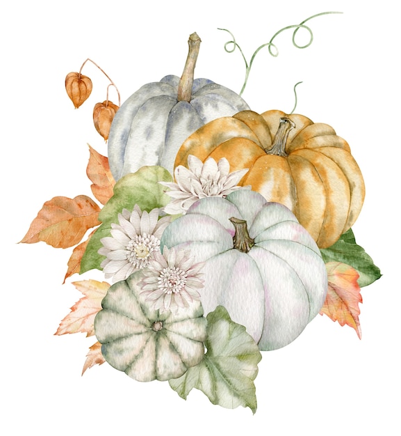 Watercolor pumpkins and asters. Thanksgiving arrangement. Harvest concept. Hand-drawn illustration