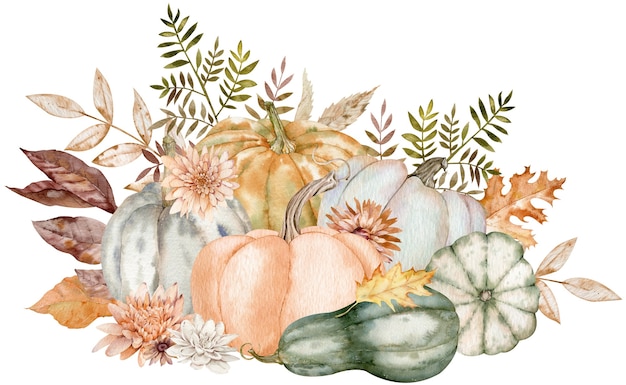 Watercolor pumpkins and asters. Thanksgiving arrangement. Harvest concept. Hand-drawn illustration