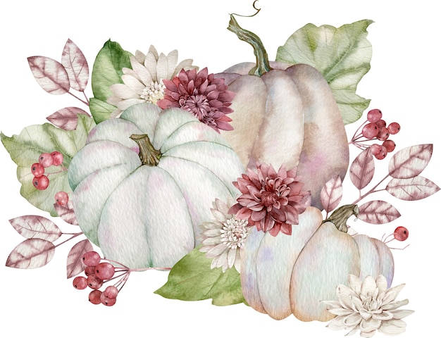 Watercolor pumpkins and asters. Thanksgiving floral arrangement. Harvest concept. Hand-drawn illustration