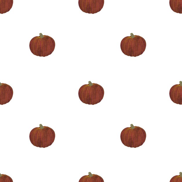 Watercolor pumpkins seamless pattern on the white background