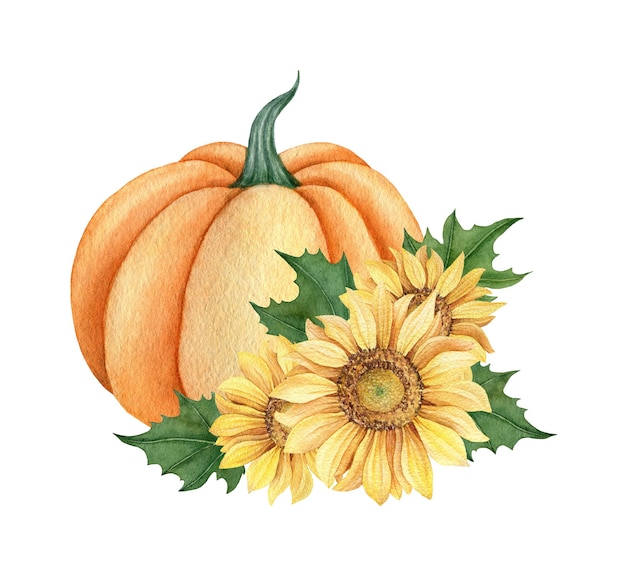 Watercolor pumpkins with leaves and sunflower Fall illustration isolated on the white background